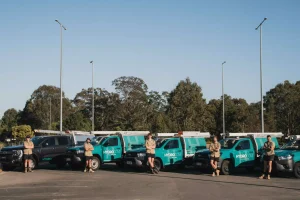 Drain Repairs Brisbane