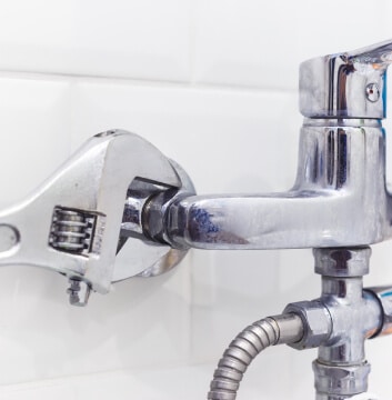 domestic maintenance